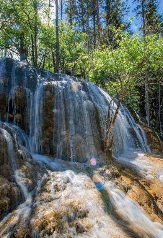 滨州市阳信县：“醒狮龙”花馍迎新春 蒸出浓浓年味